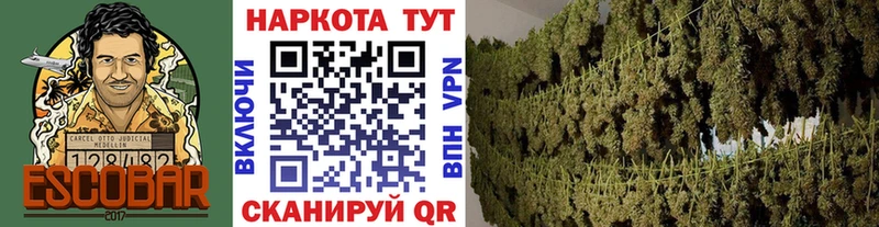 Купить закладку A PVP  Канабис  Амфетамин  Гашиш  Cocaine  МЕФ  Чайковский