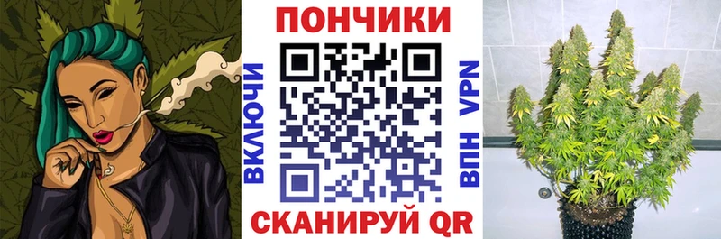 Канабис марихуана  Купить закладки  Чайковский 